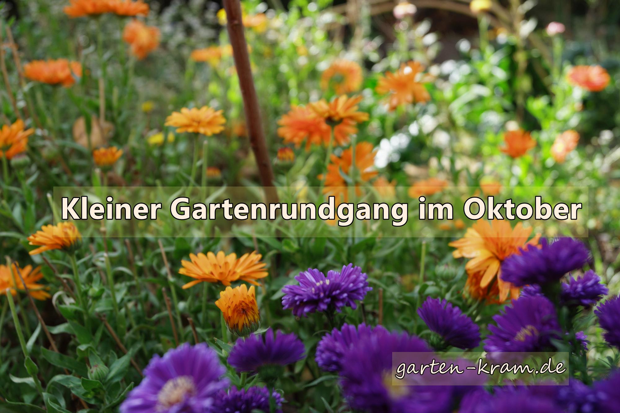 El Kiwi Beneficios Propiedades Nutrientes Origen Y Cultivo El Kiwi Beneficios Propiedades Nutrientes Origen Y Cultivo