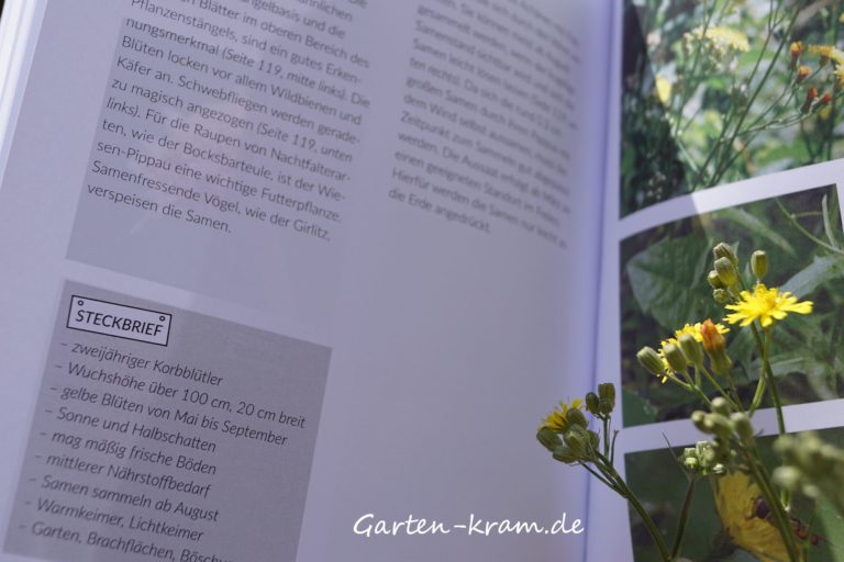 Buchempfehlung Die Natur ist der bessere Gärtner GartenKram